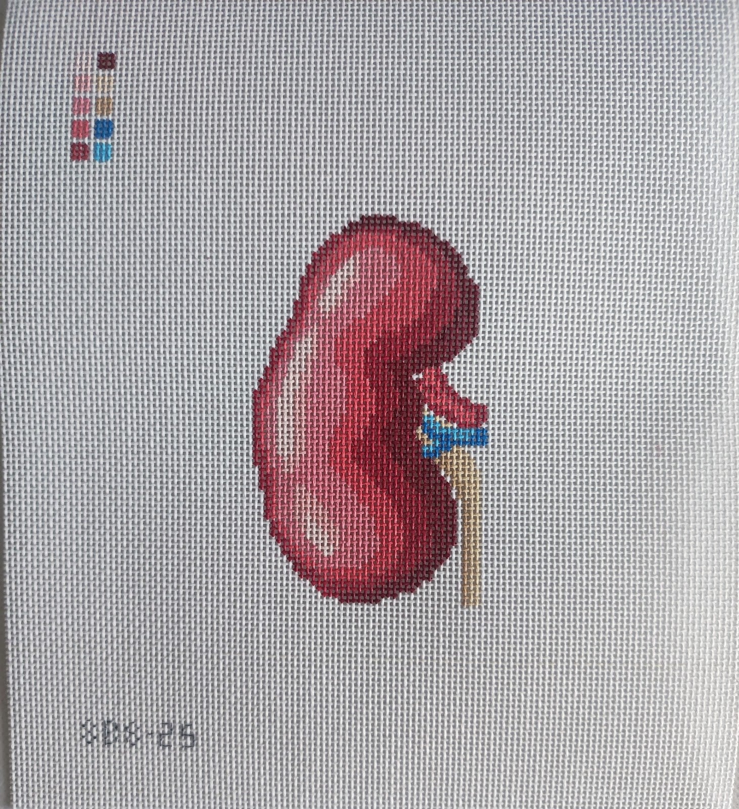 SBS25 - Anatomical Kidney & Stitch Guide