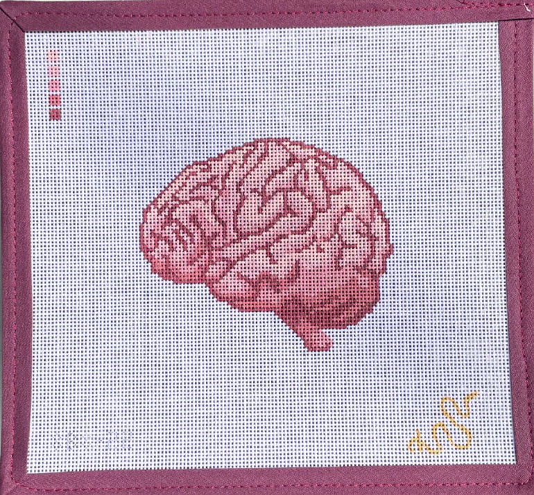 SBS22 - Anatomical Brain