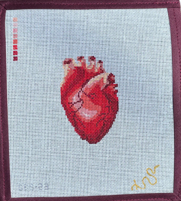 SBS23 - Anatomical Heart