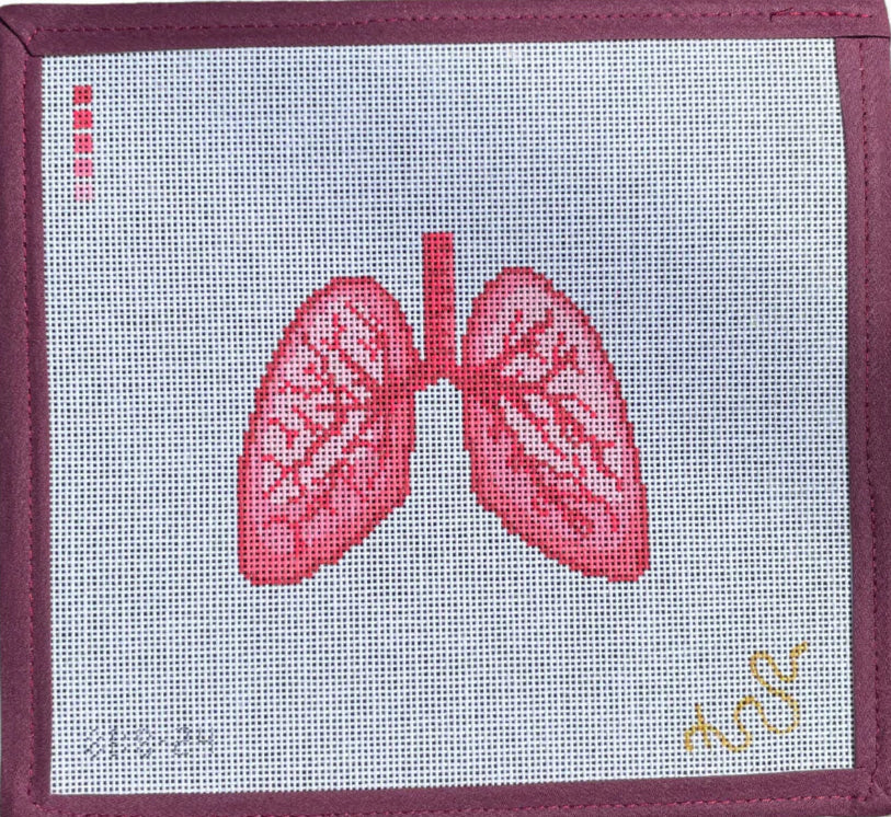 SBS24 - Anatomical Lungs