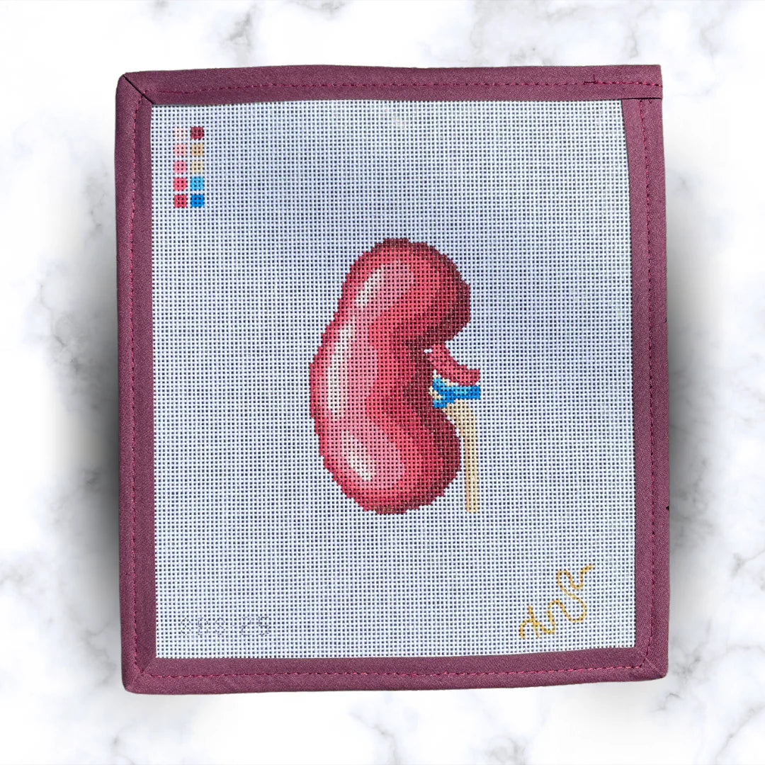 SBS25 - Anatomical Kidney