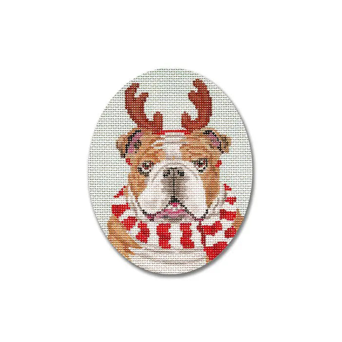 SC-XO75 - Bulldog with Scarf