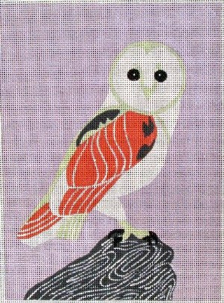 SEE 1427 - Barnyard Owl