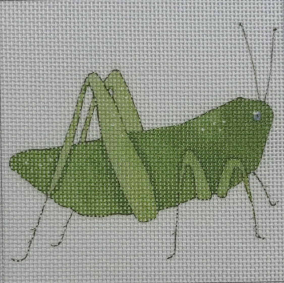 SF83 - Grasshopper
