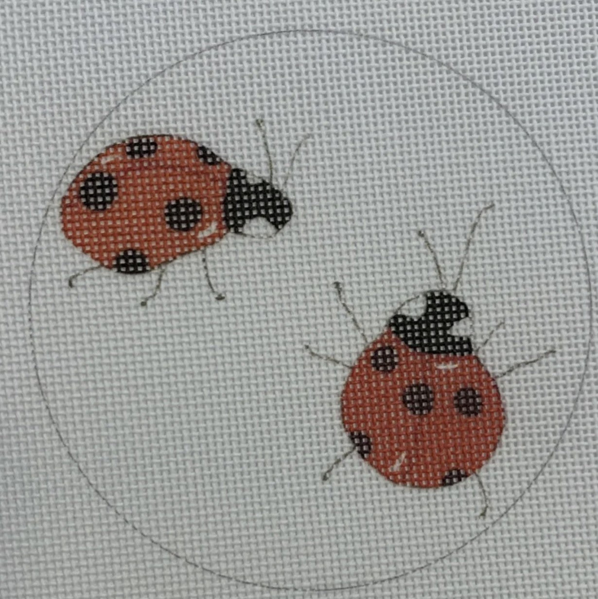 SF87 - Ladybugs