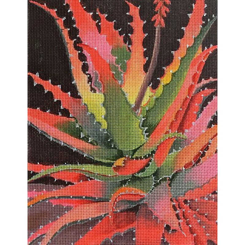 SW126 - Sunset Agave