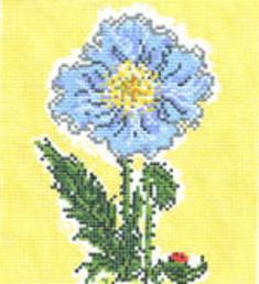 SWB118 - Himalayan Poppy