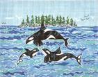 SWB141 - Orca Family