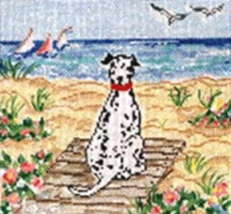 SWB162 - Summer Observer