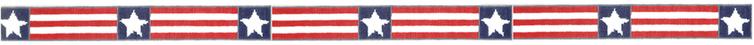 SWB165 - America Belt