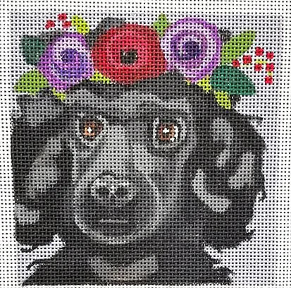 D-28 - Poodle