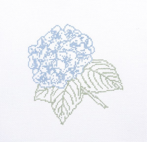 Hydrangea