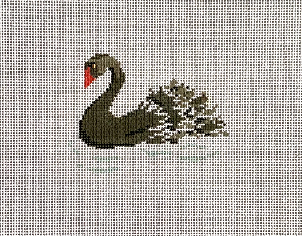 27P - Black Swan