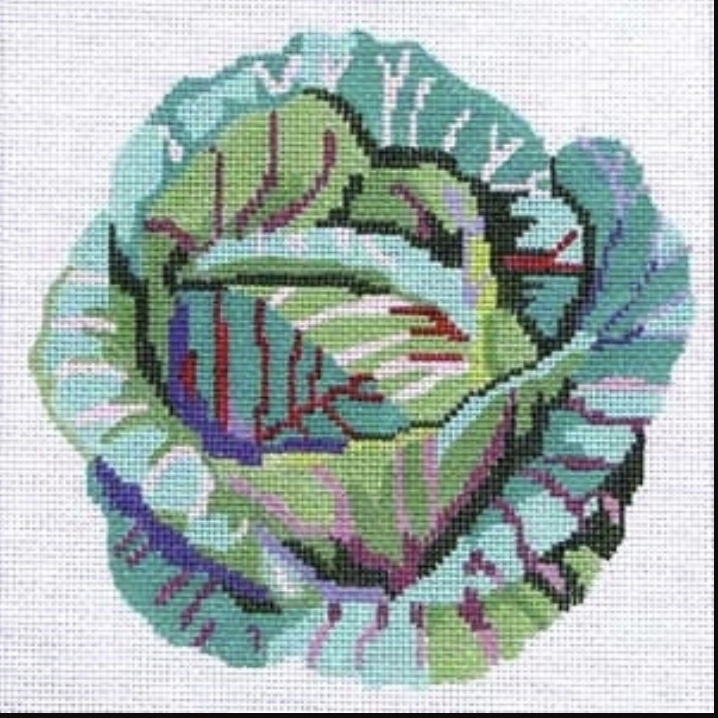 126A  - Small Cabbage