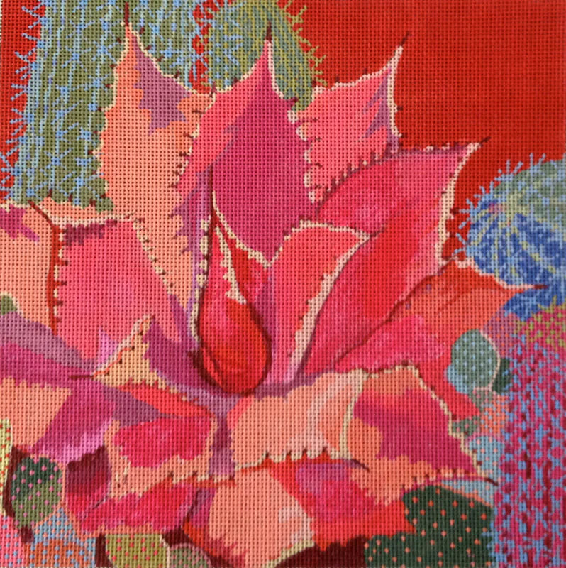 SW102 - Desert Agave