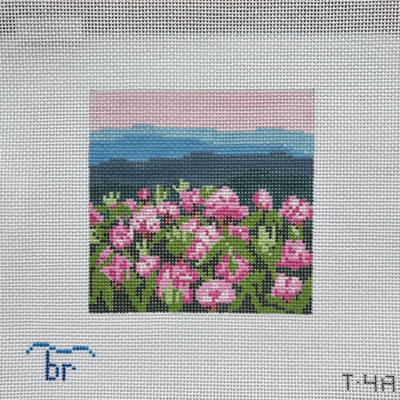 T4A - Rhododendron on Blue Mountain