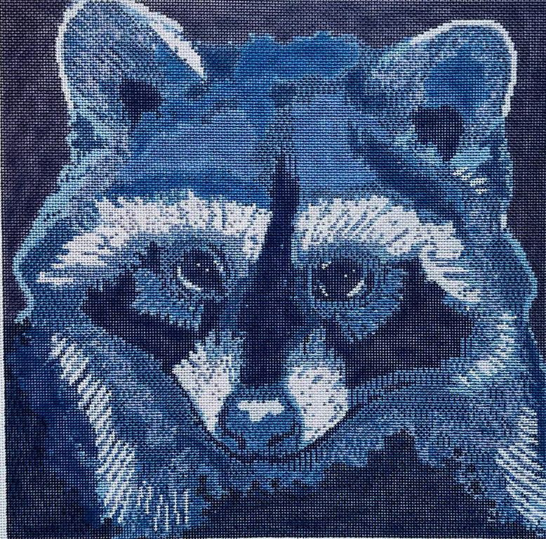 TA4069 - Raccoon Canvas