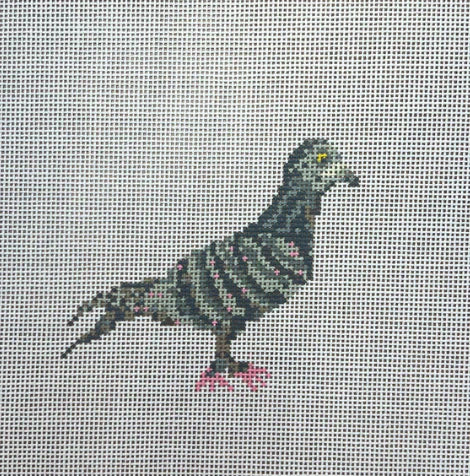 TSC22 - Pidgeon Round