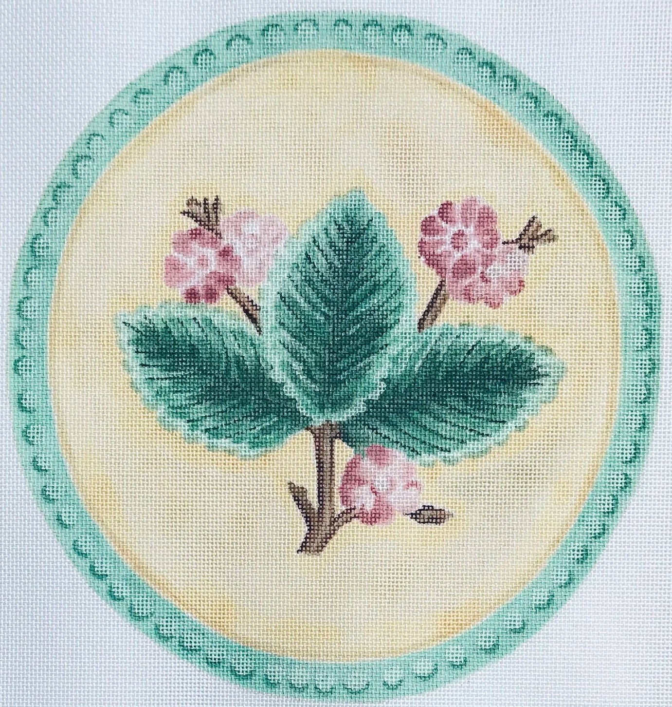 TSG27 - Rosa Rugosa