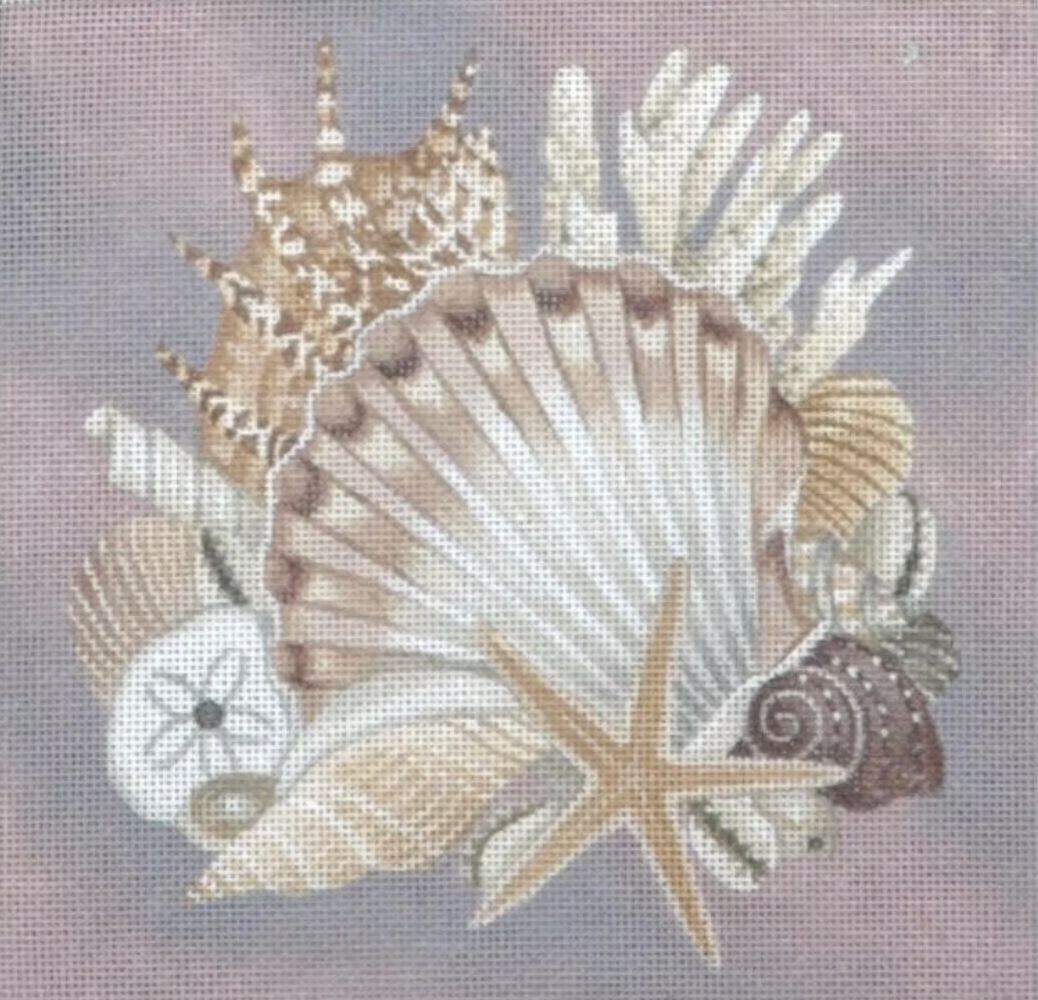 TTASP136 - Shells