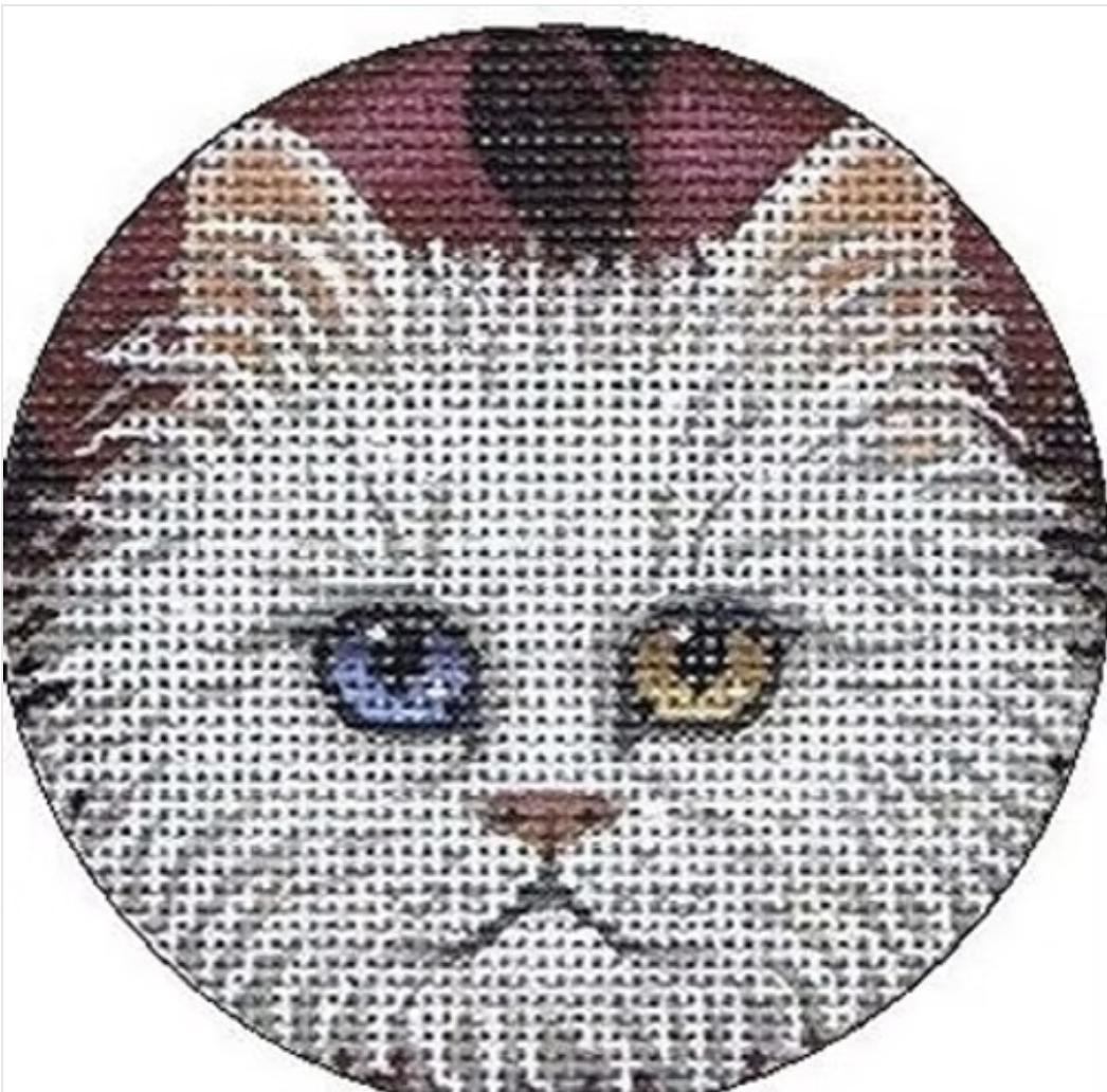 TTASP179 - Cat 5