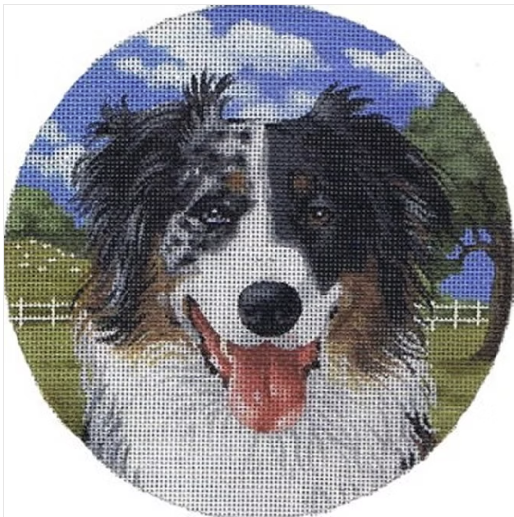 TTASP238 - Australian Shepherd