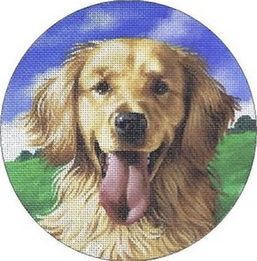 TTASP300 - Golden Retriever