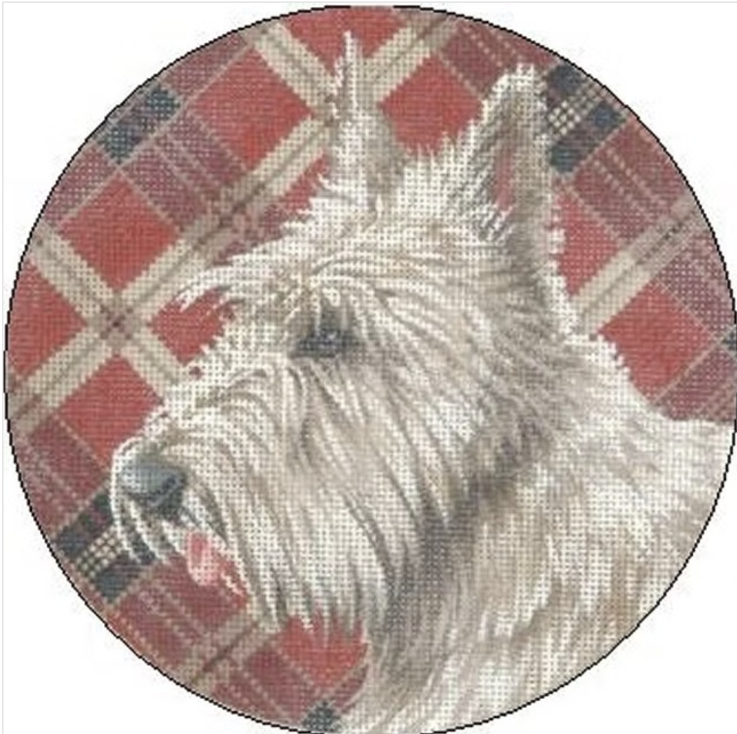 TTASP319 - White Scottie