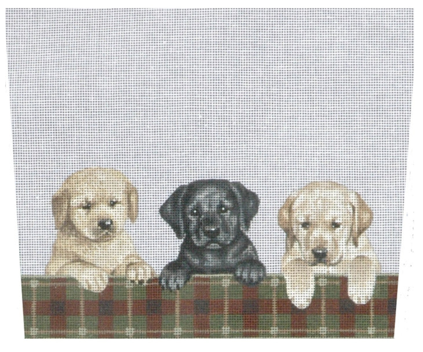 TTST111 - Retriever and Lab Puppies Stocking Cuff