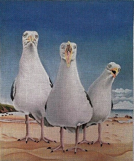 VM1701 - Beach Boys