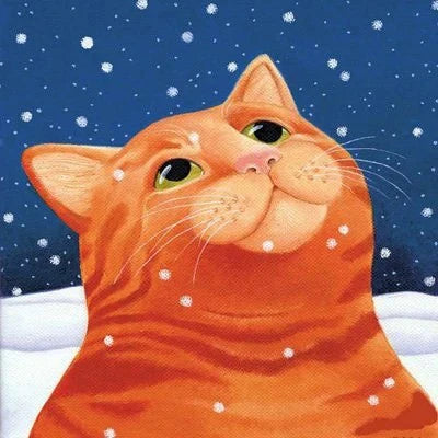 VM1711 - Ginger Snow