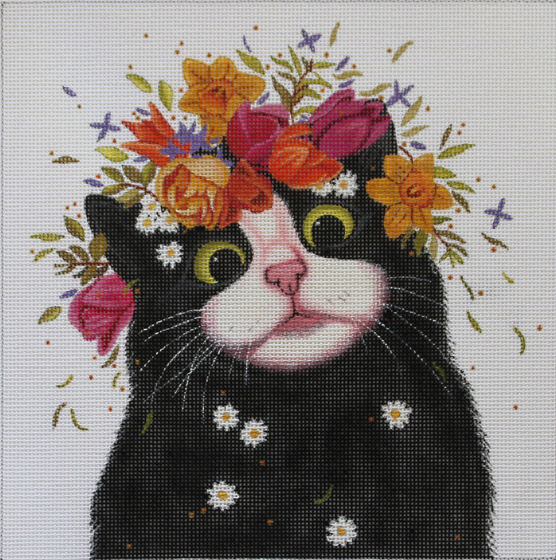 VM1717 - Spring Cat