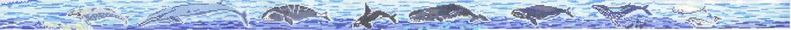 SWB1071 - Whale Belt
