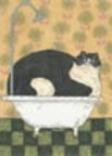 WK2013 - Cat on a Hot Tin Tub