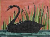 WK2074 - Black Swan