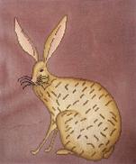 WK2081 - Jack Rabbit