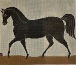 WK2082 - Prancing Horse