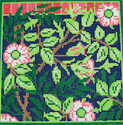 WG11600-13 - William's Sweetbriar Eyeglass Case 13CT