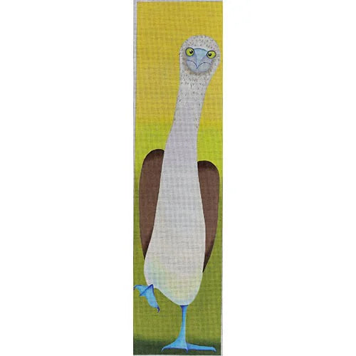 ZE 794-13 - Blue Footed Booby