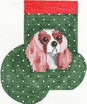 AB342 - King Charles Cavalier Tan and White Mini Sock