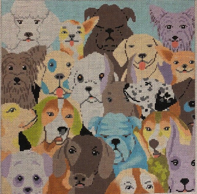 ASIT109 - Many Dogs