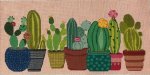 ASIT351 - Cactus