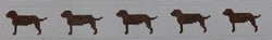 KK-B110C -  Chocolate Labs Belt