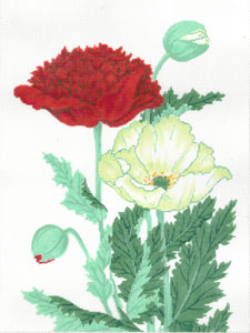C-609 - Red and White Peony