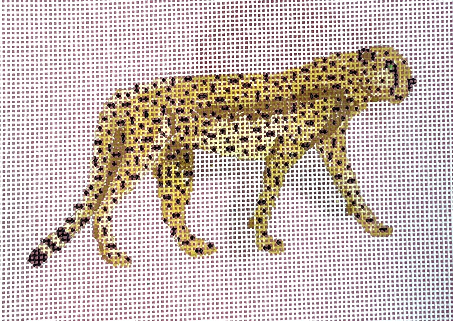 Cheetah