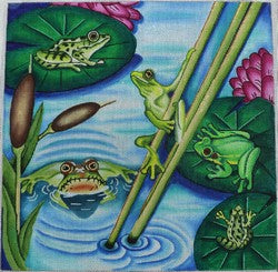 R20 - Frog Pond