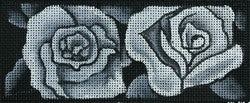 R28 - White Roses on Black Canvas