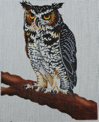 R30 - Owl on Branch