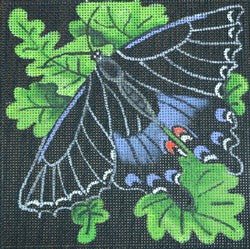 R37 - Black and Blue Butterfly