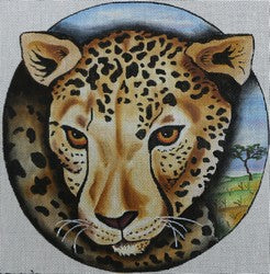 R44 - Cheetah